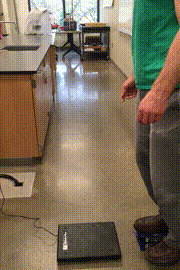 A person steps off a small platform onto a force plate and on one foot with a stiff leg. The same person then steps off again and bends their leg as they land.
