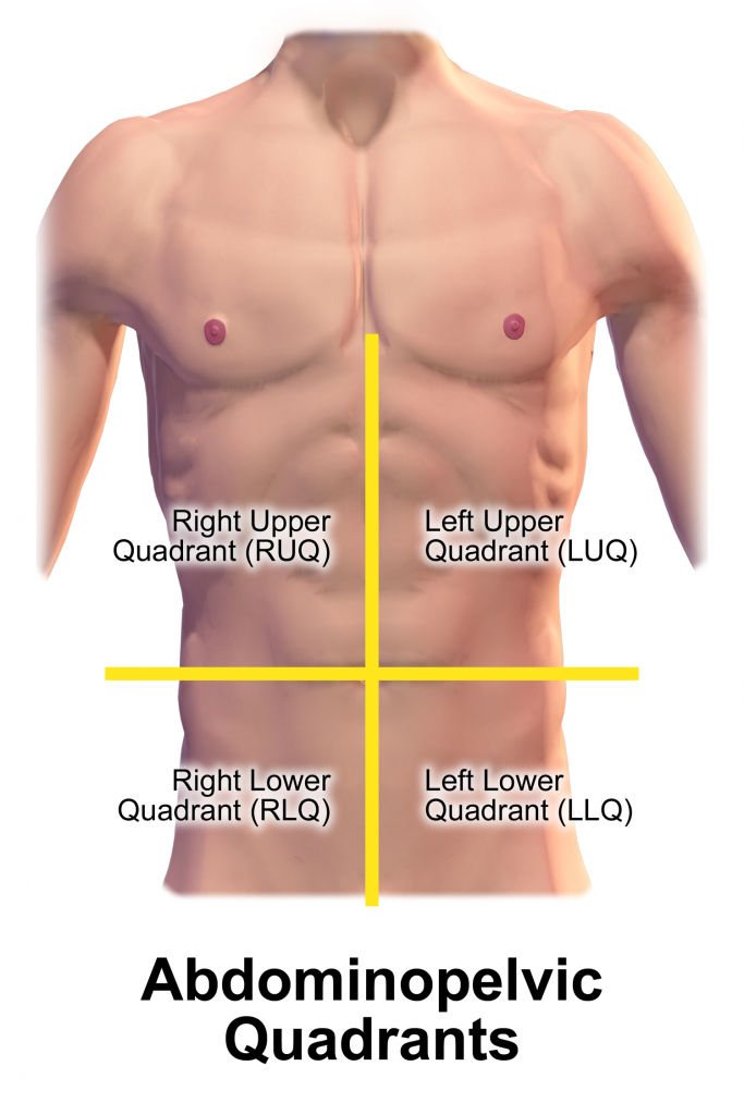 “Blausen 0005 AbdominopelvicQuadrants.png” by BruceBlaus is licenced under CC BY 3.0 Illustration showing four quadrants of abdomen, with labels