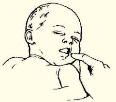 “Rooting Reflex” by Ashley Arbuckle is licensed under CC BY 2.0 Illustration of an infant's rooting reflex