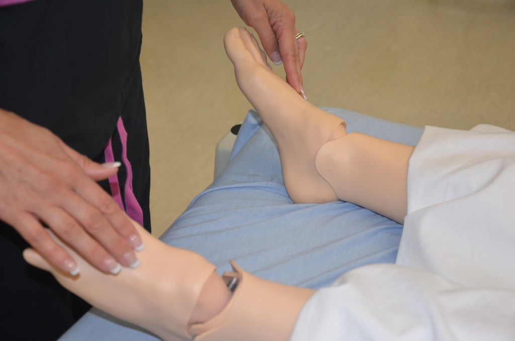 “DSC_2314.jpg” by British Columbia Institute of Technology (BCIT) is licensed under CC BY 4.0. Access for free at https://opentextbc.ca/clinicalskills/chapter/2-5-focussed-respiratory-assessment/ Photo showing assessment of dorsalis pedis pulses on simulated patient