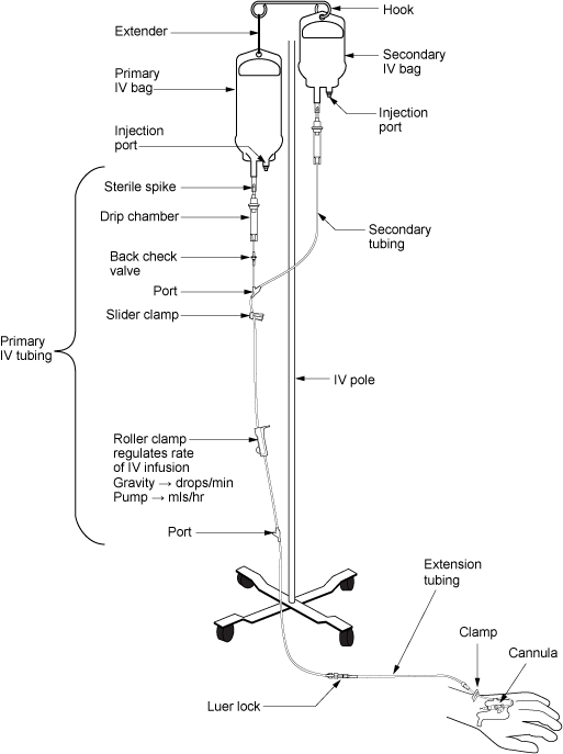 “intravenous_equipment_labels-2.png” by British Columbia Institute of Technology (BCIT) is licensed under CC BY 4.0. Access for free at https://opentextbc.ca/clinicalskills/chapter/8-2-types-of-iv-therapy Illustration of IV Pole and tubing setup with labels