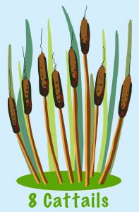 Eight cattails.