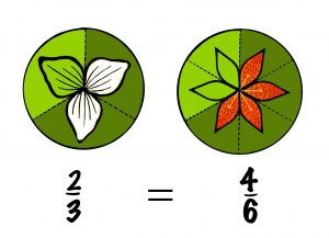 two thirds and four sixths are equivalent fractions.