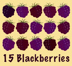Fifteen blackberries are laid on a surface. There are five in a row and three in a column.