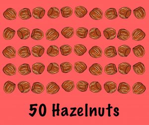 Fifty hazelnuts are laid on a surface. There are 10 in a row and five in a column.