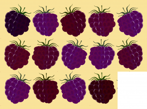 Fourteen blackberries.
