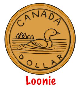 an image of a Canadian 1-dollar coin