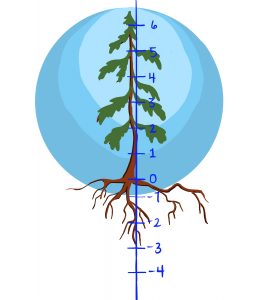There are several blue circles on the background. A tree is growing in the middle and a number line is drew vertically on top of the tree. The origin (zero dot) is at the base of the tree. The numbers are positive above ground and are negative under the ground.