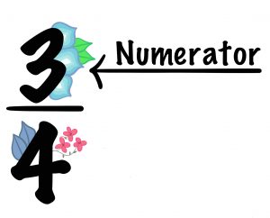 In a fraction 3/4, the numerator is on the top of the line, which is three.