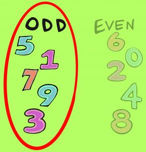 It listed examples of odd numbers, such as one, three, five, seven, and nine.