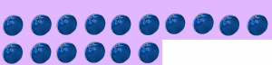 Sixteen blueberries.
