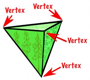 A triangular pyramid has four vertices.