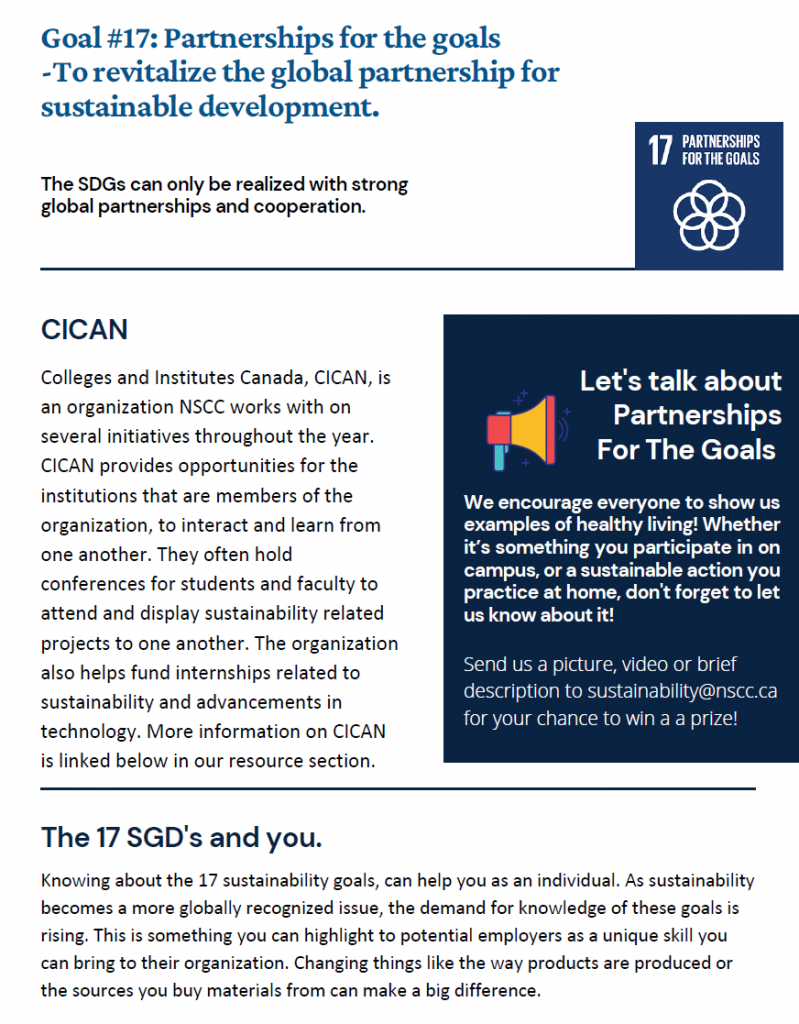 SDG 17