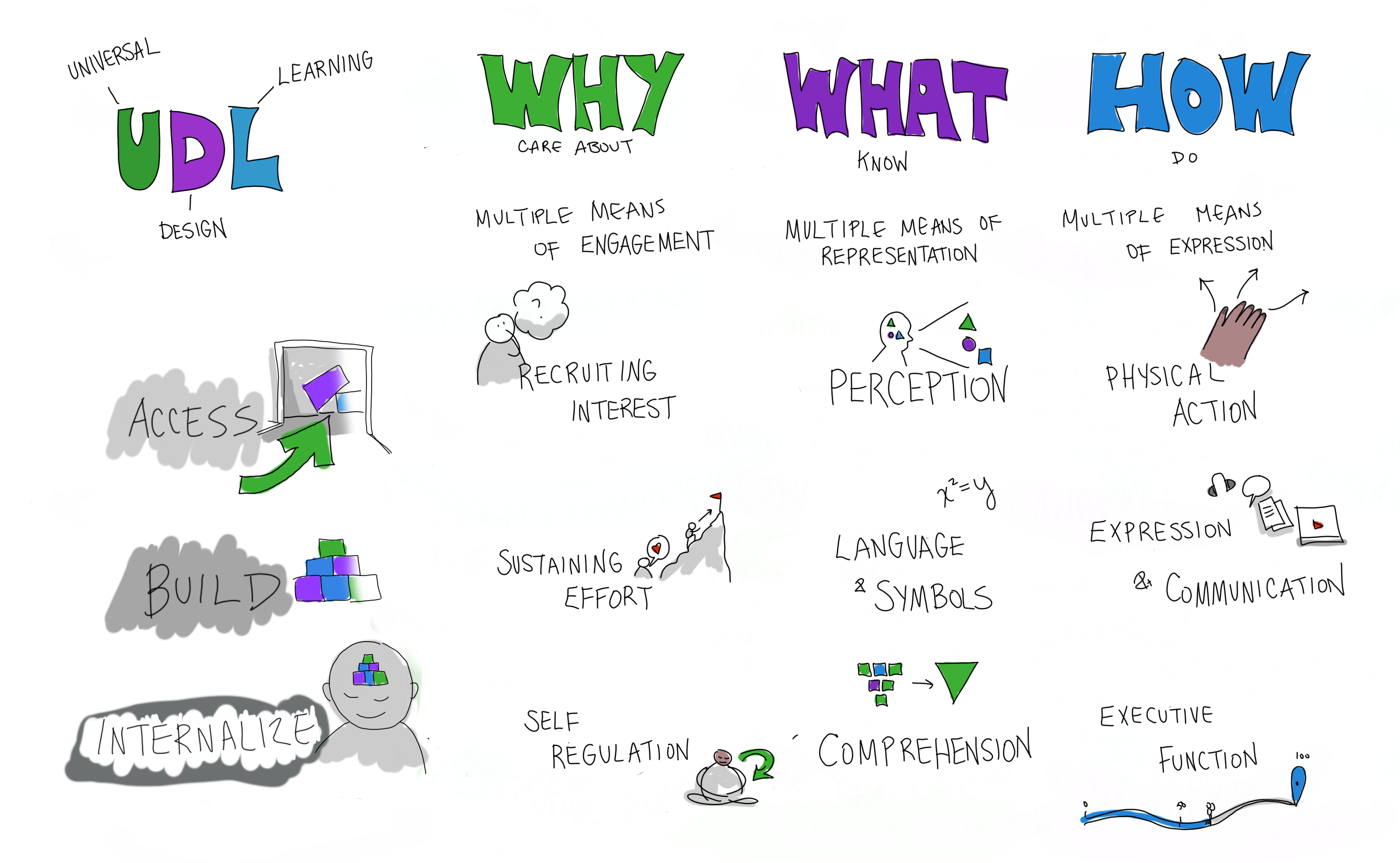 Doodle of universal design for learning model.