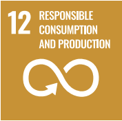 12 Responsible consumption and production