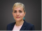 Farinaz Havaei