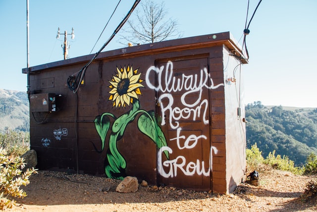 Shed with a sunflower and the words “always room to grow” painted on it