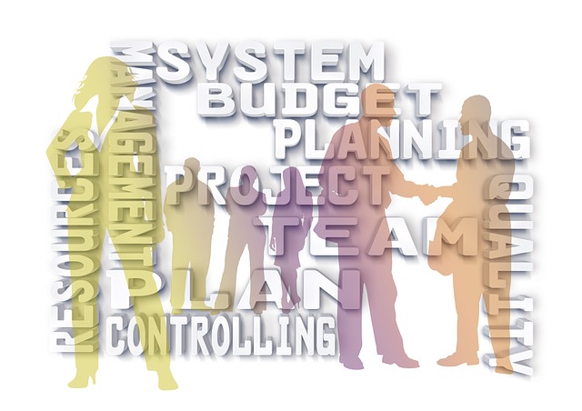 Human outlines with the words Resources, Management, Plan, Controlling, System, Budget Planning, Project team and Quality superimposed