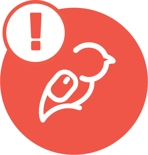 example icon