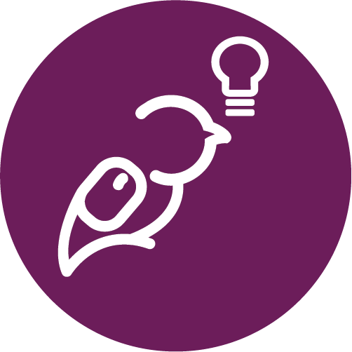 Little Birdy with an idea