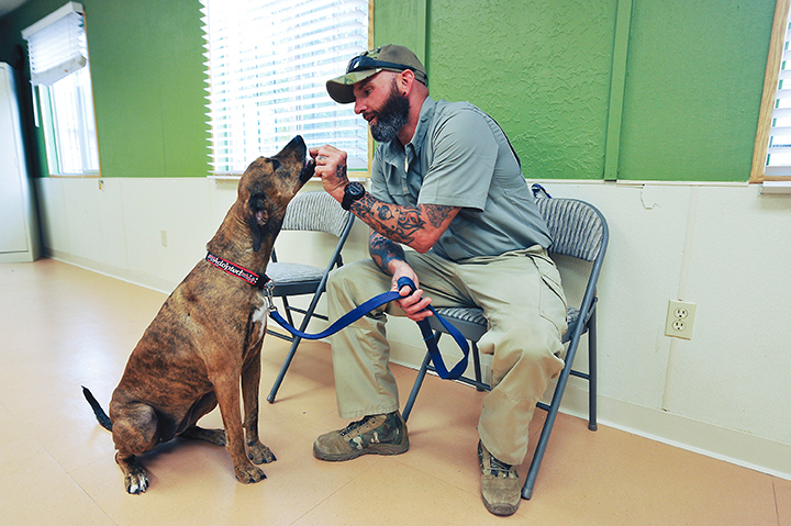 “Local_veterans_group_gets_national_exposure_141127-F-ZZ999-001.jpg” by unknown author is licensed in the Public Domain Photo showing a seated veteran interacting with his service dog
