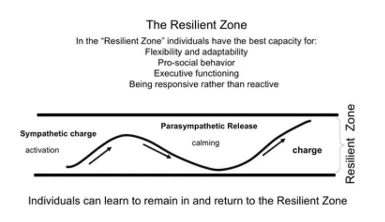 Leitch, L. Action steps using ACEs and trauma-informed care: a resilience model. Health Justice 5, 5 (2017). https://doi.org/10.1186/s40352-017-0050-5 Image showing explaining resilient zone