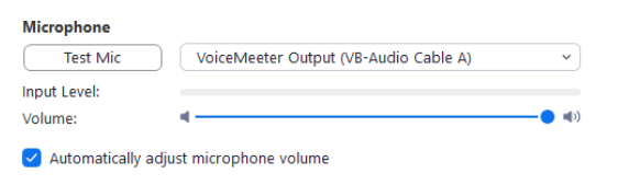 Zoom microphone settings
