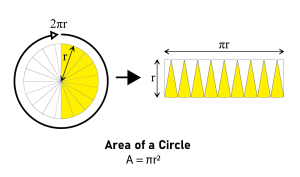 Area of a Circle © Sven, CC BY-SA 3.0 The area of a circle, approximated by a near-rectangle, is composed of segments. which Illustrates the formula used to calculate area of a circle - area equals to pie times the square of radius.